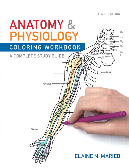 Anatomy Physiology Coloring Workbook.