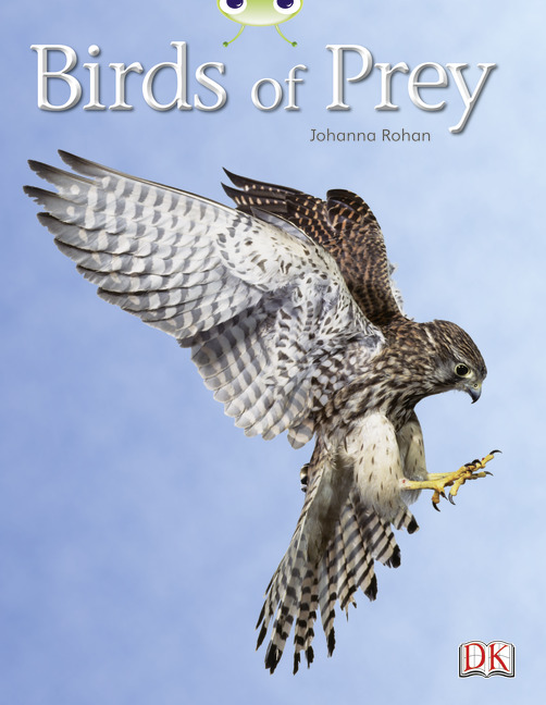 Bug Club Independent Non Fiction Year Two White A Birds of Prey