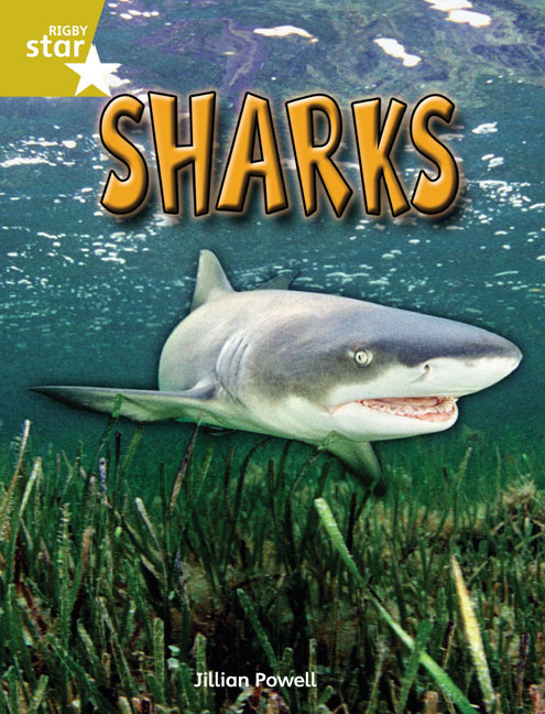 Rigby Star Independent Year 2 Gold Non Fiction Sharks Single