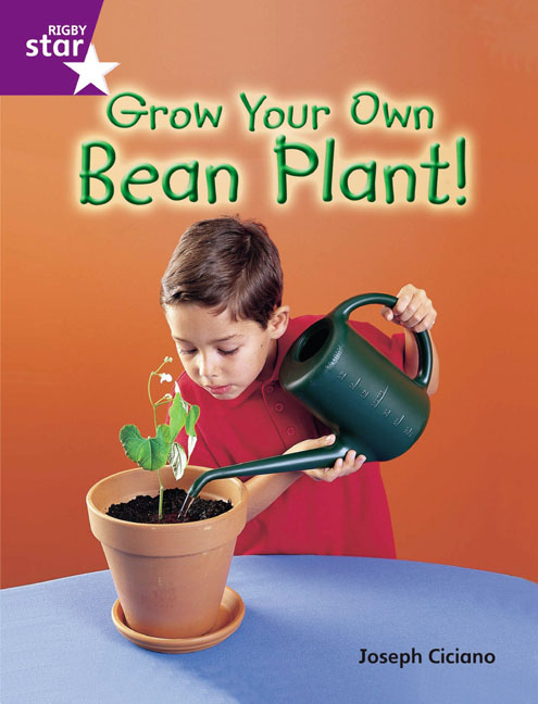 Rigby Star Guided Quest Purple: Grow Your Own Bean Plant!