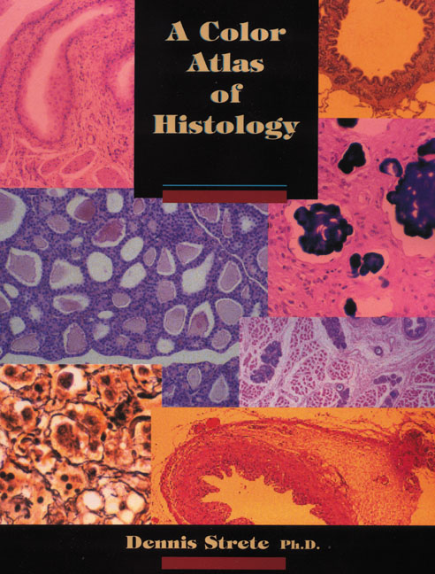 Atlas Of Histology