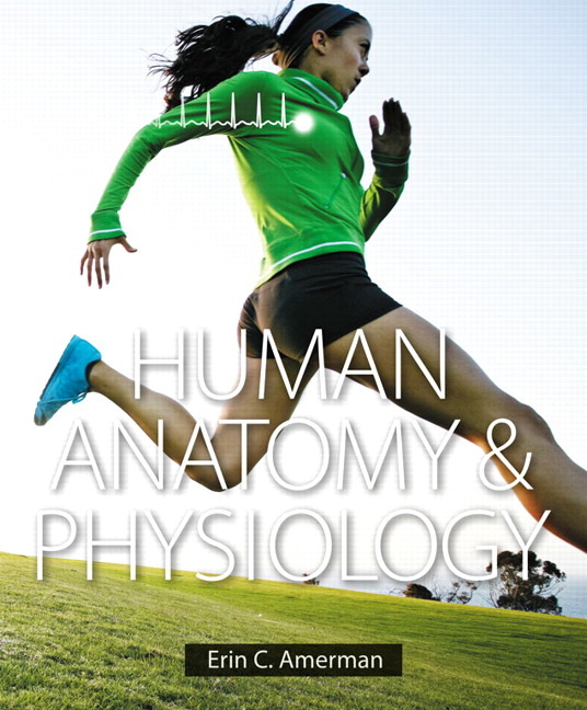 Pearson Education - Human Anatomy & Physiology Plus Mastering A&P With ...