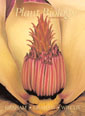 Plant Biology