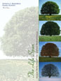 Life Span, The