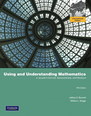 Using and Understanding Mathematics
