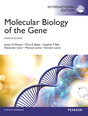 Molecular Biology of the Gene