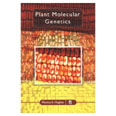 Plant Molecular Genetics