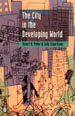 The City in the Developing World